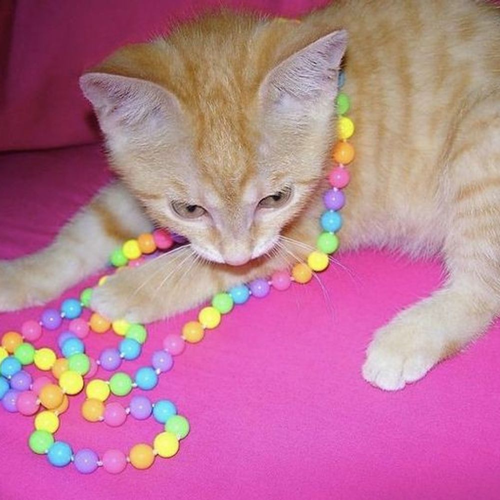 mooncherryxcatz