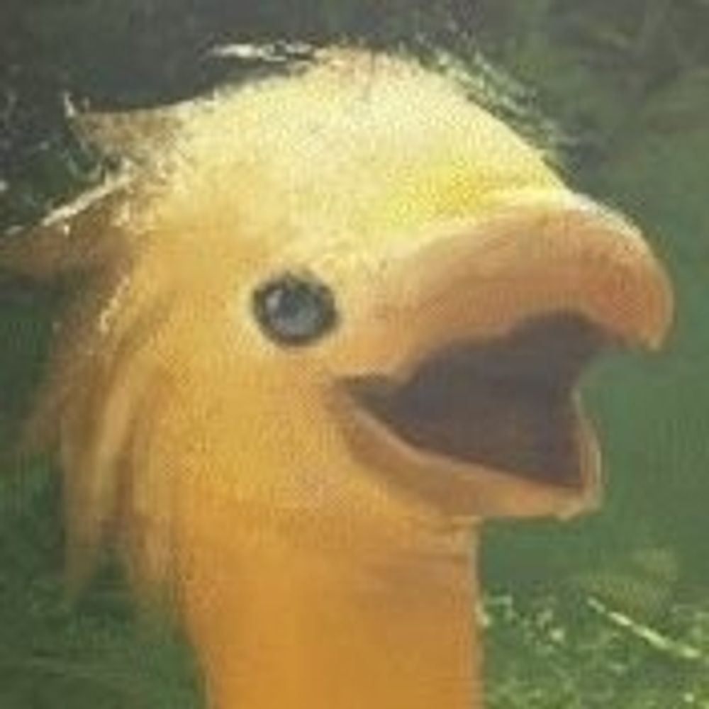 초코보