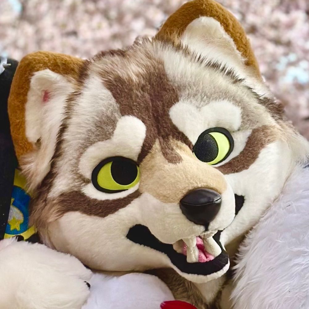 Awoo 🔜 FWA