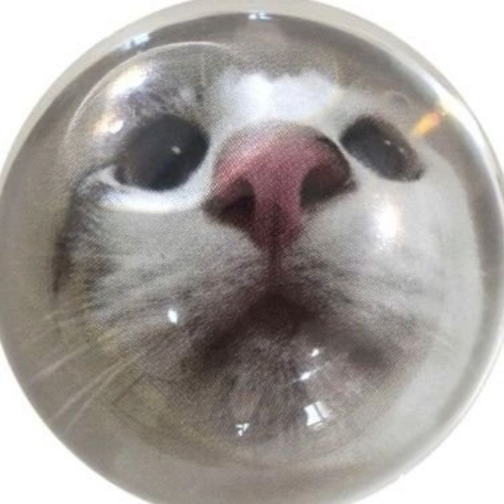 chew