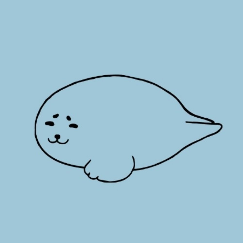 す