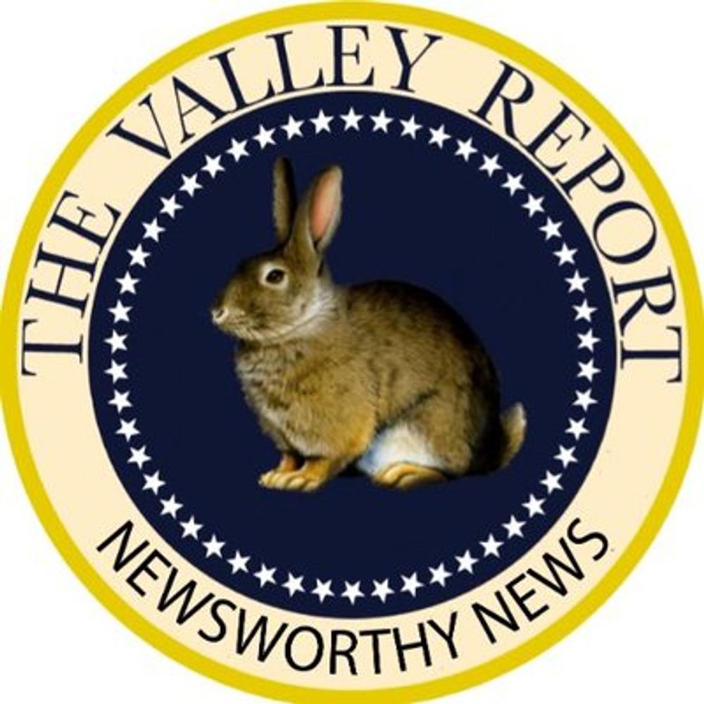 Profile picture thevalleyreport.bsky.social