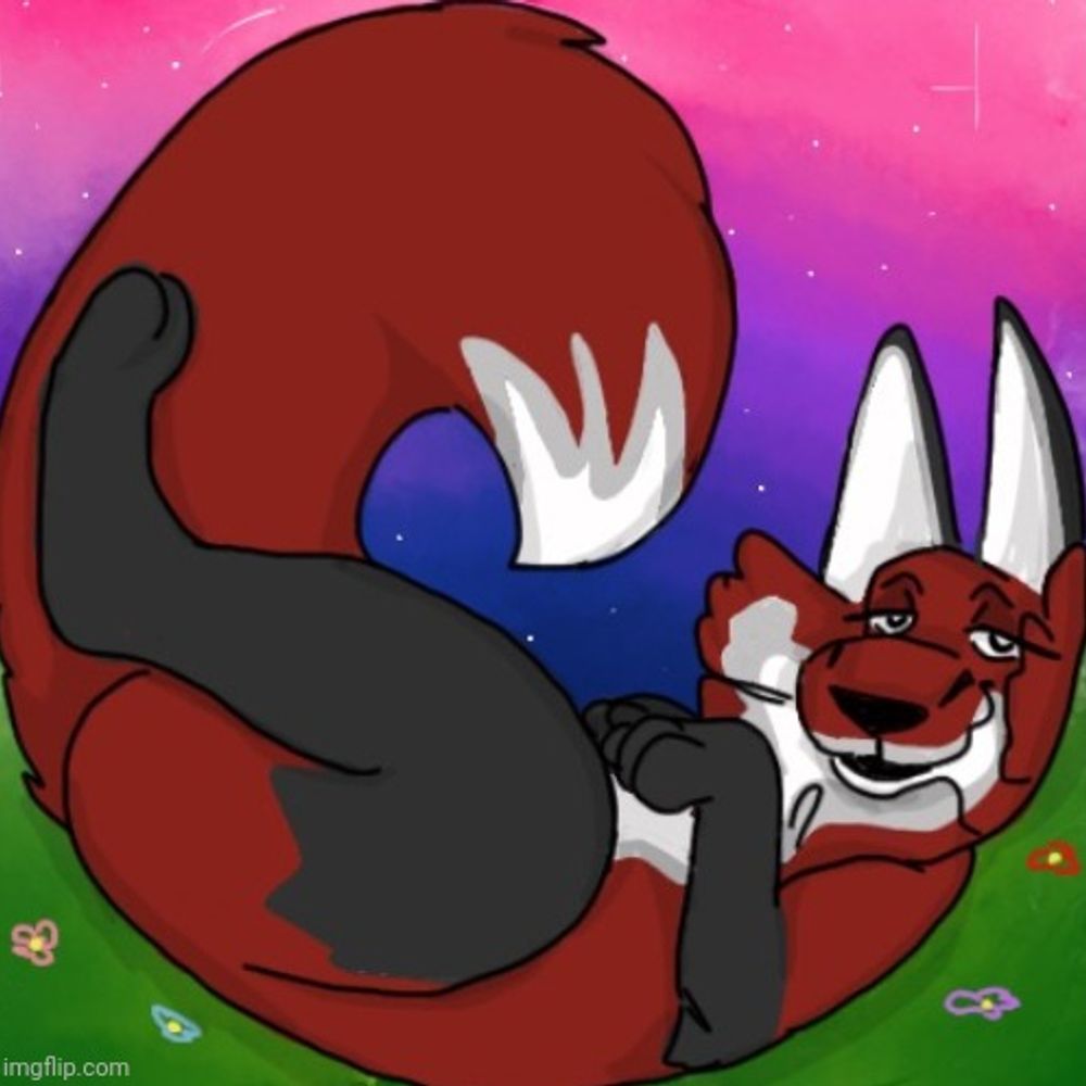 a fox, actually