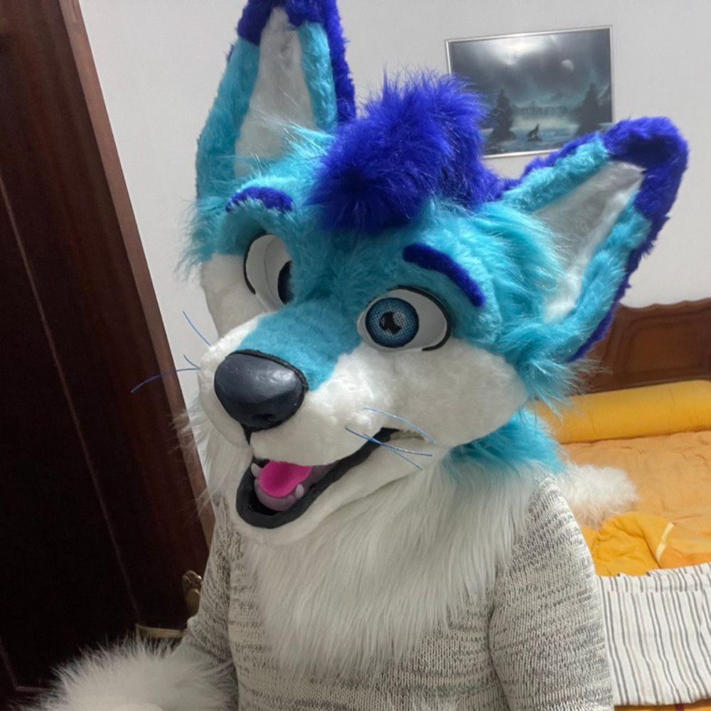 Lumiro the Husky