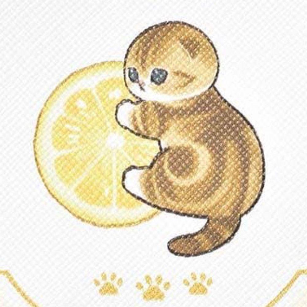 もねこ