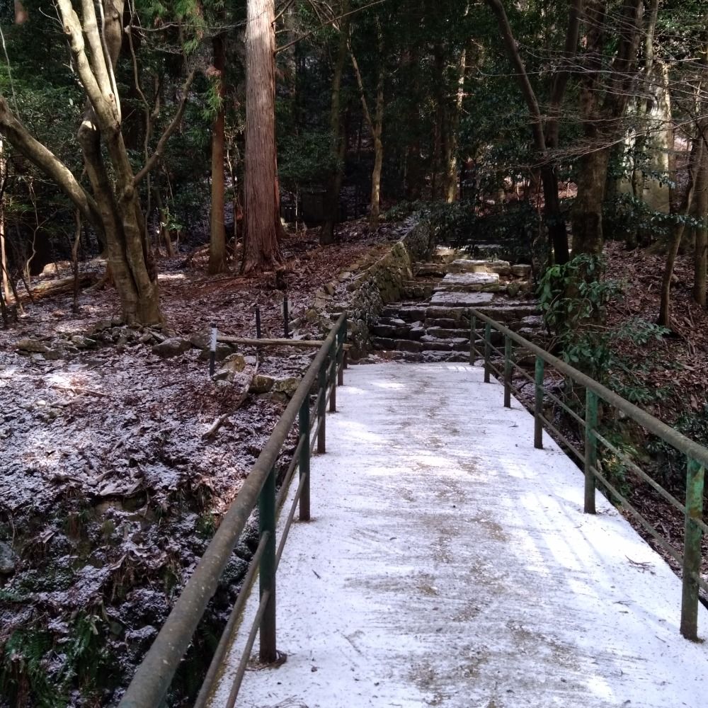 棋客