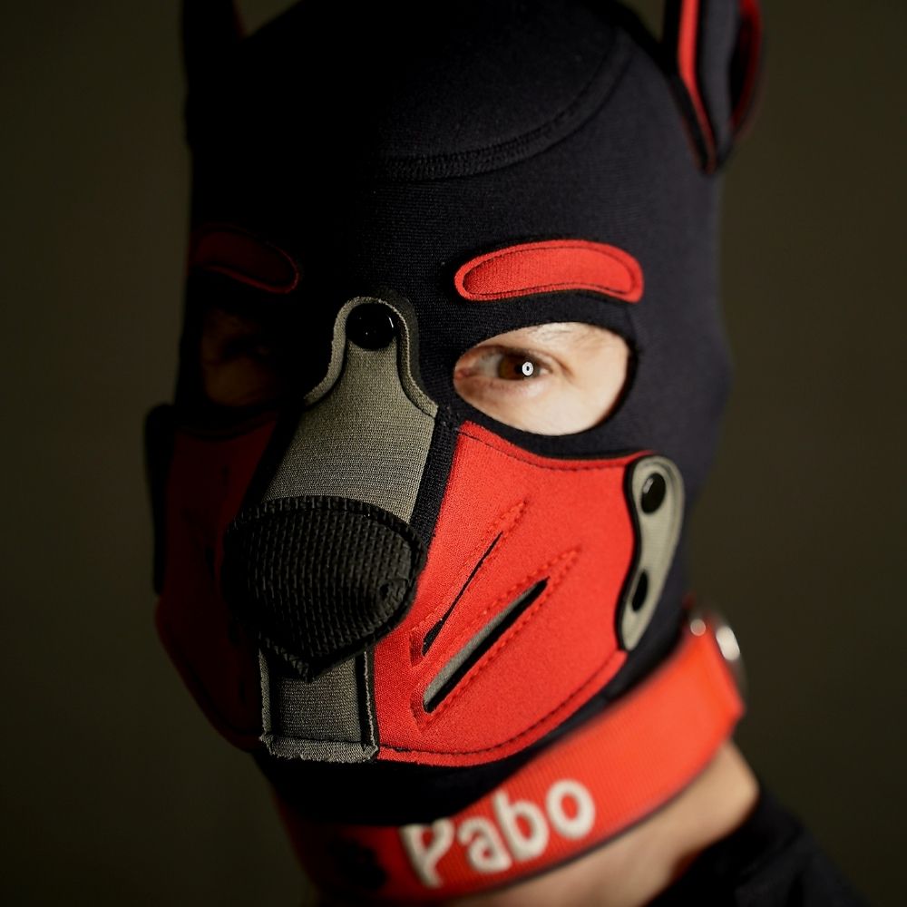 Pup Pabo