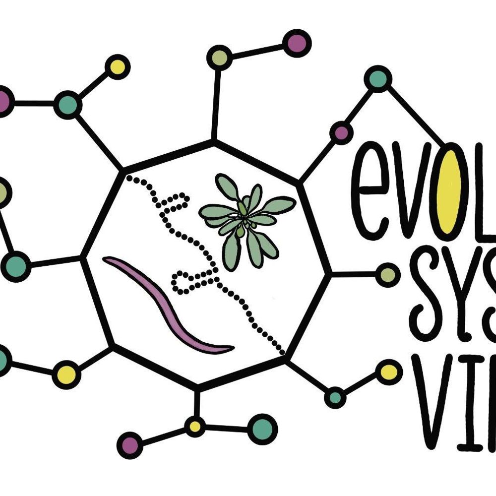 SFElena laboratory at I2SysBio - EvolSysVir