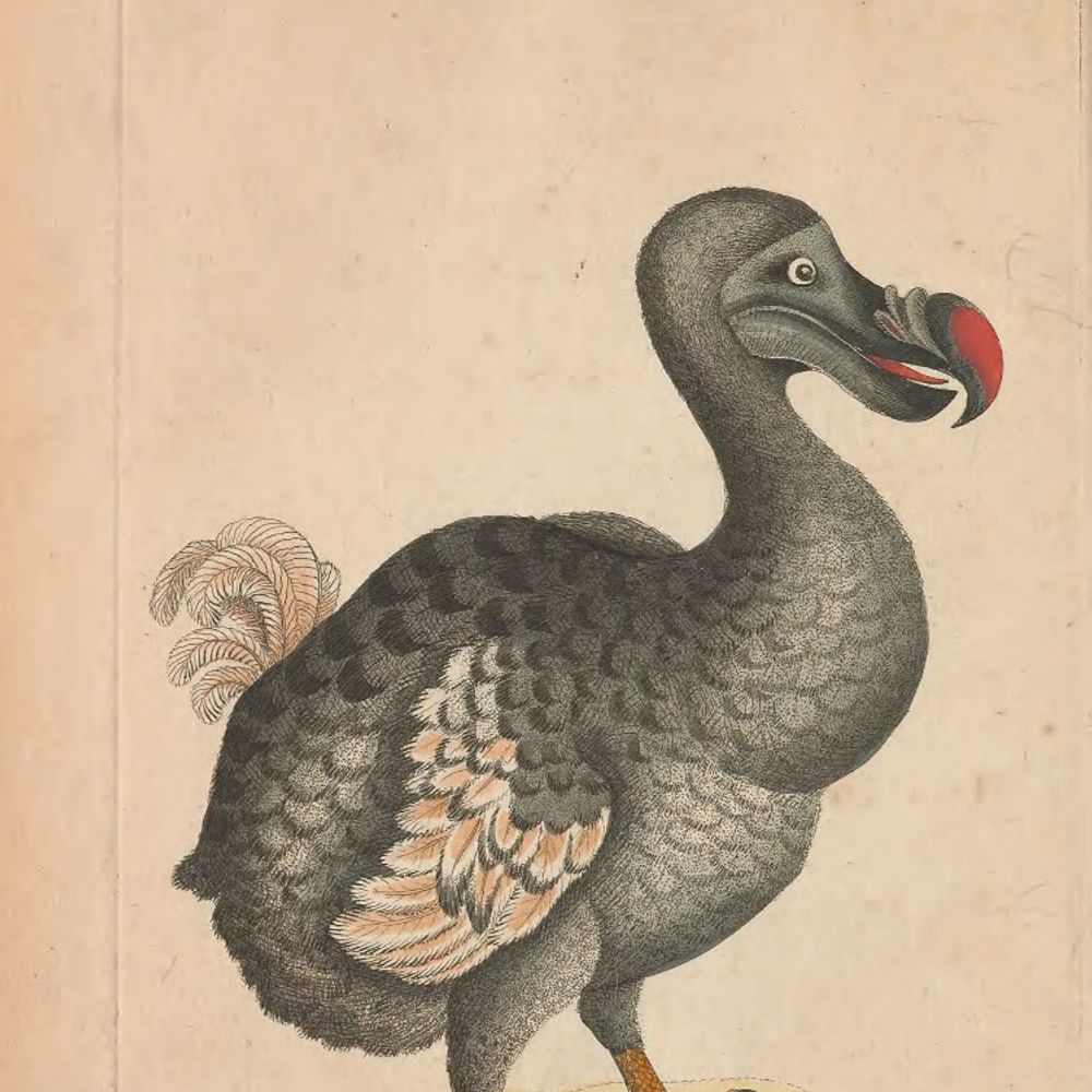 Philipp Sperner