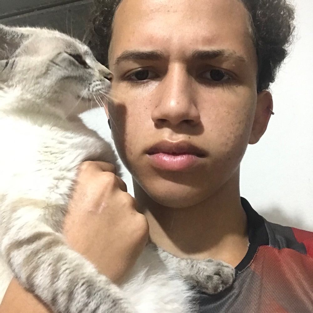 cabeçote