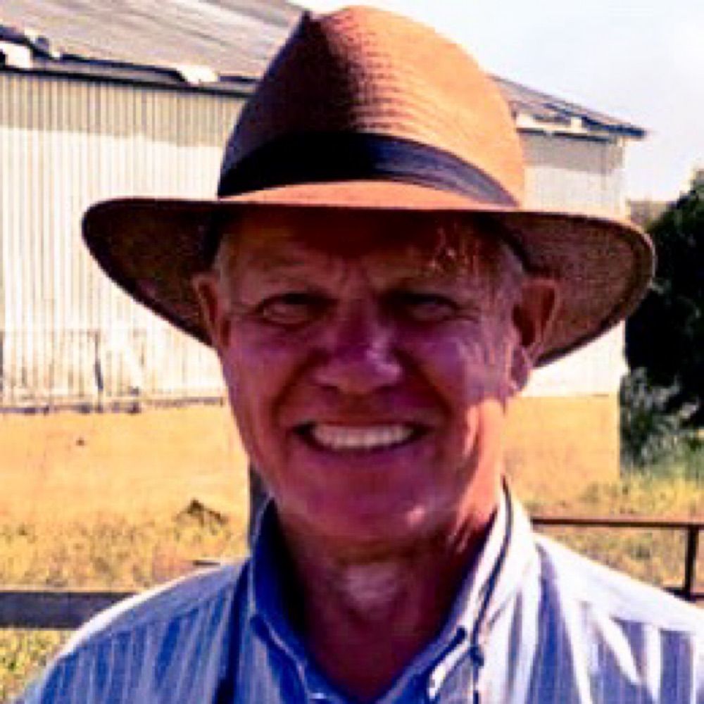 Ted Wilkins