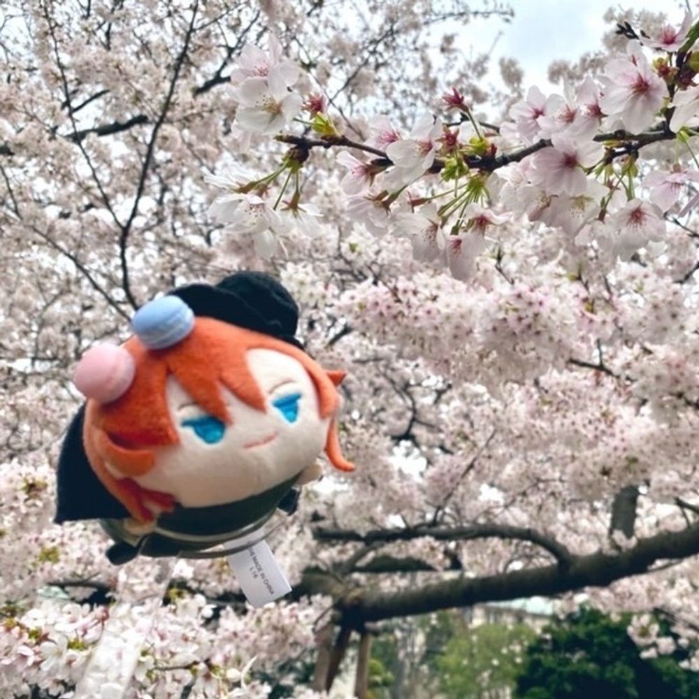 るまっこい