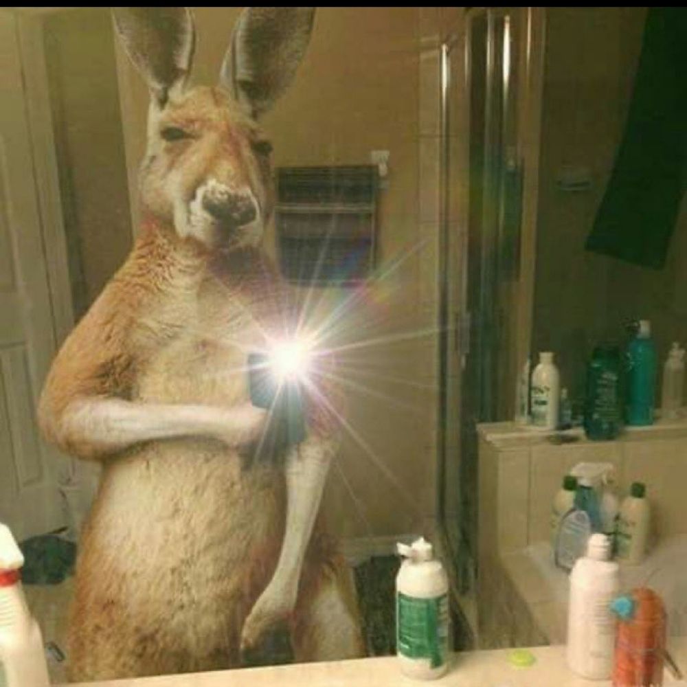 Gusta