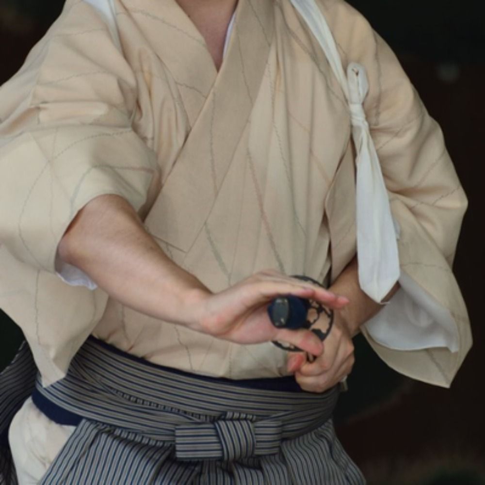 天眞正自源流兵法
