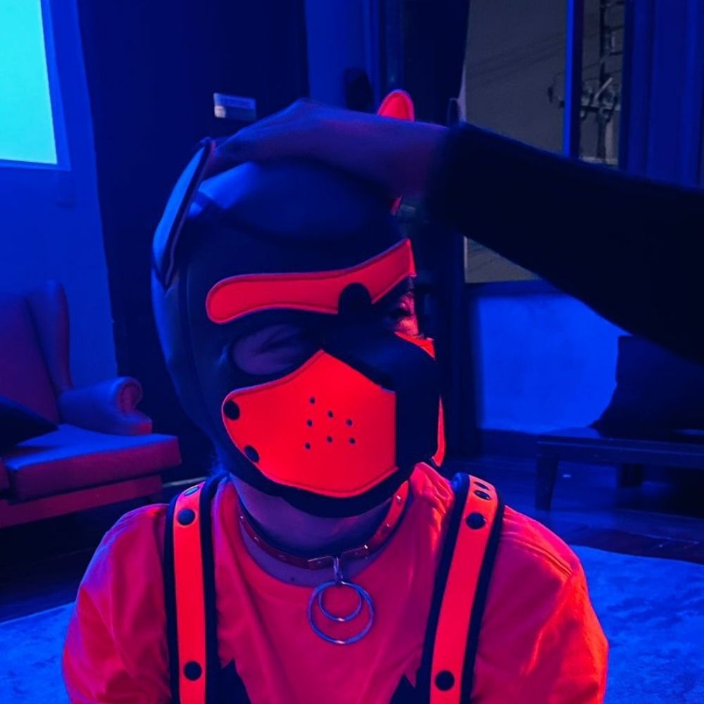 Puppy Walker