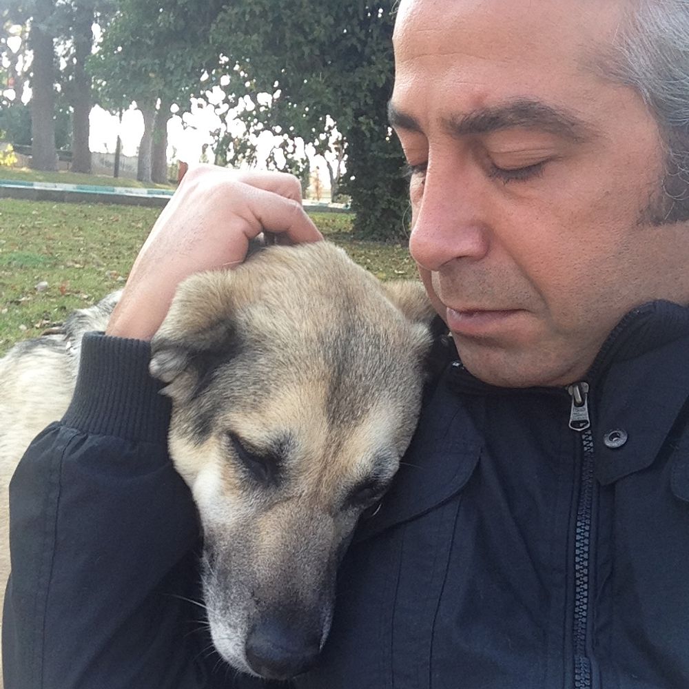 Vedat