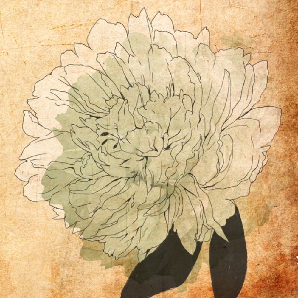 七尾