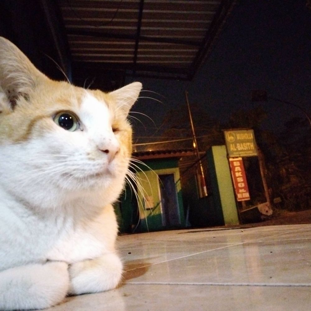 Unyuuan tata