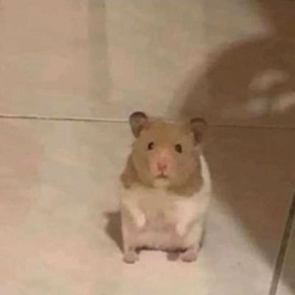 빵
