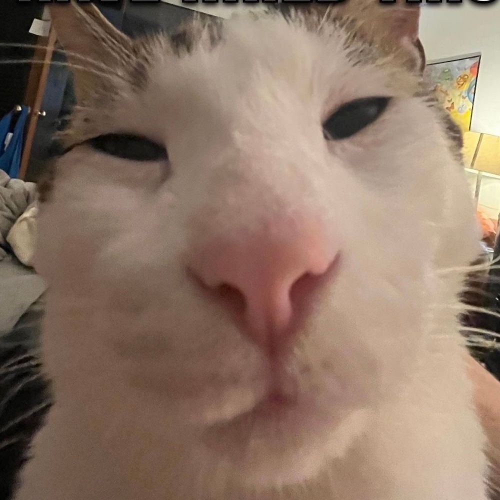 Dan