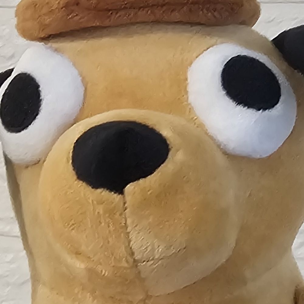 Hasu
