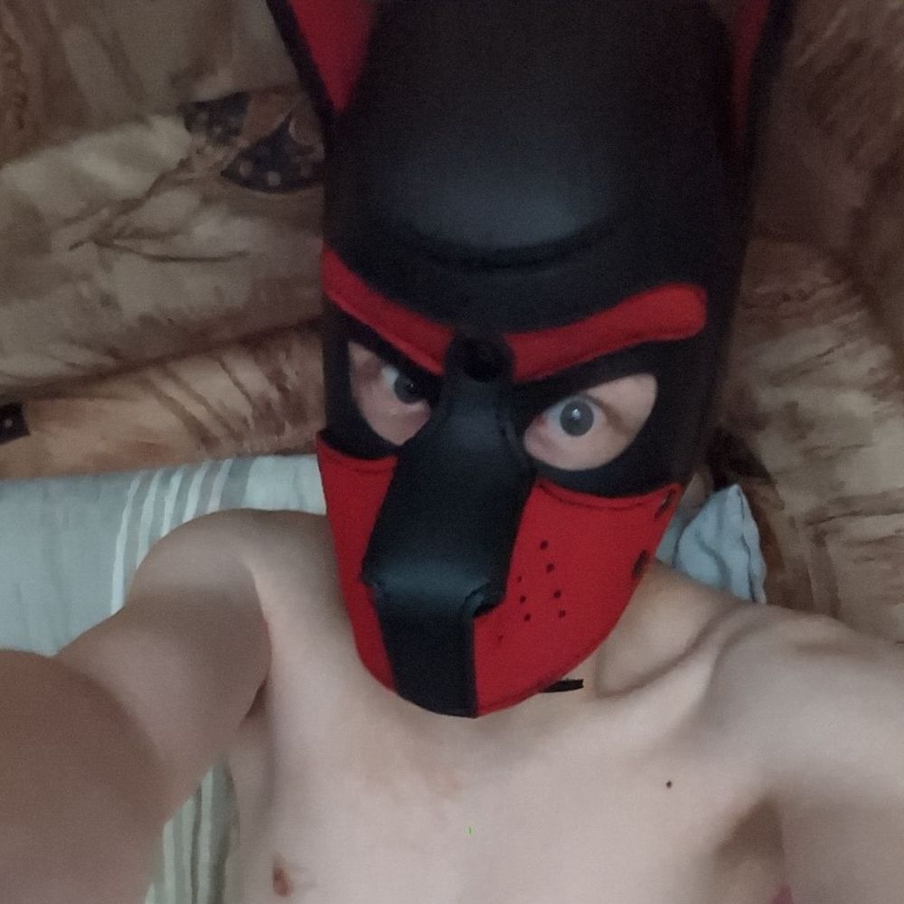 Puppy_Schnuffi