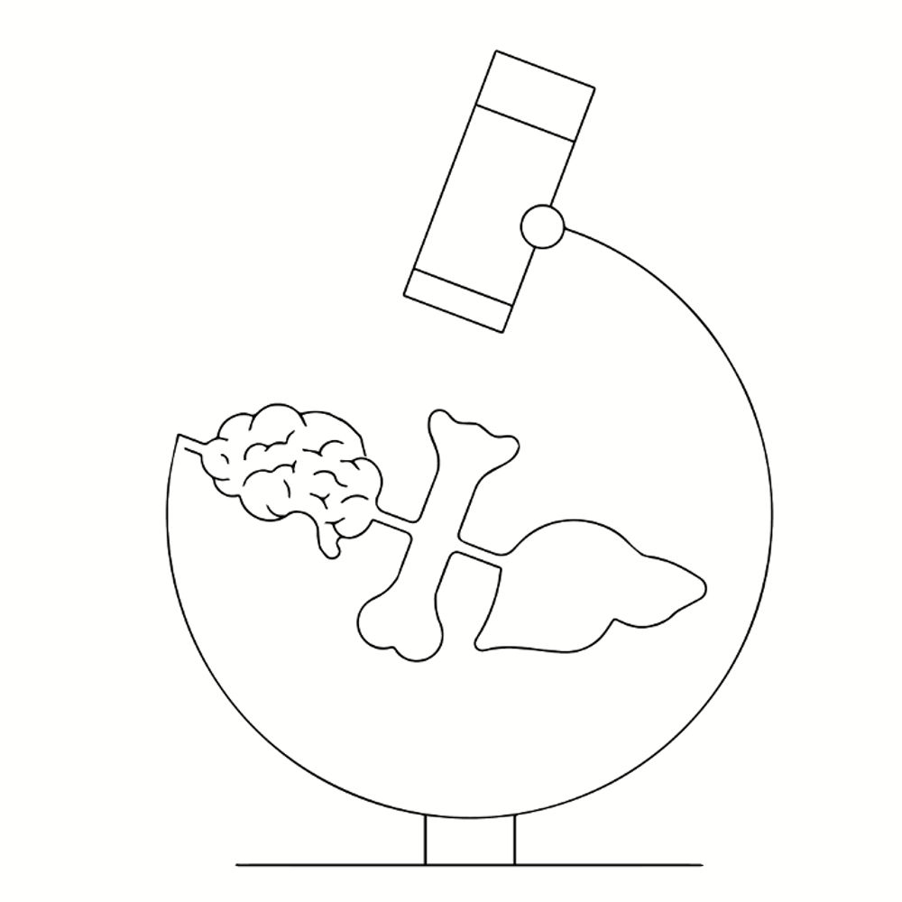 ImAge-D-MSCA 