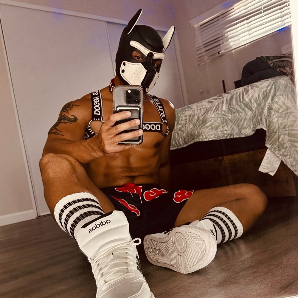 Pup Knightly