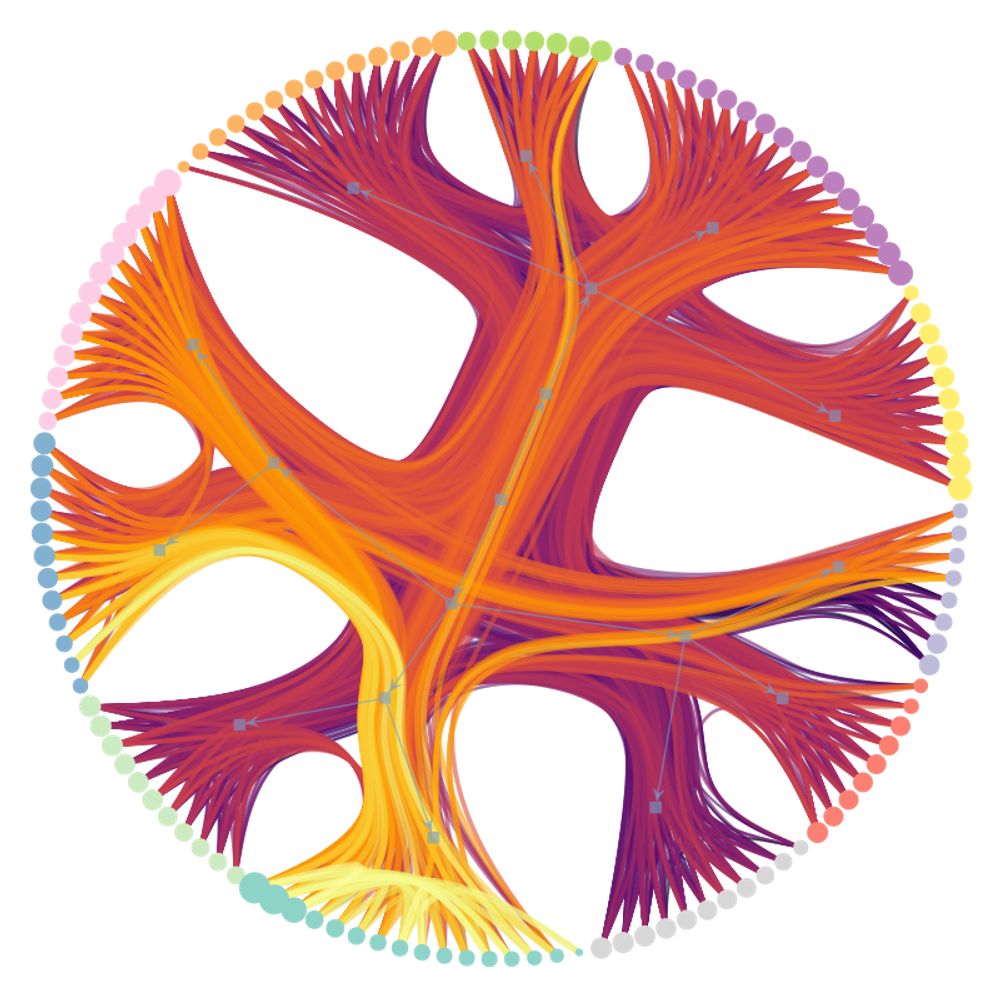 Inverse Complexity Lab
