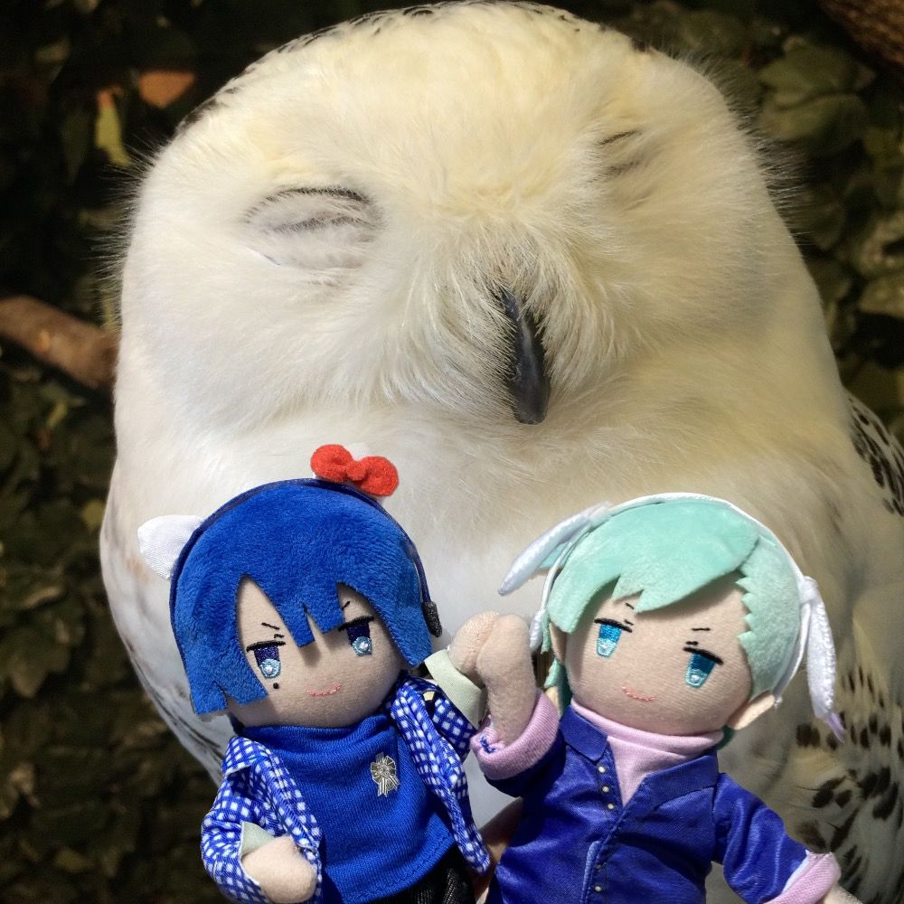 ゆた子