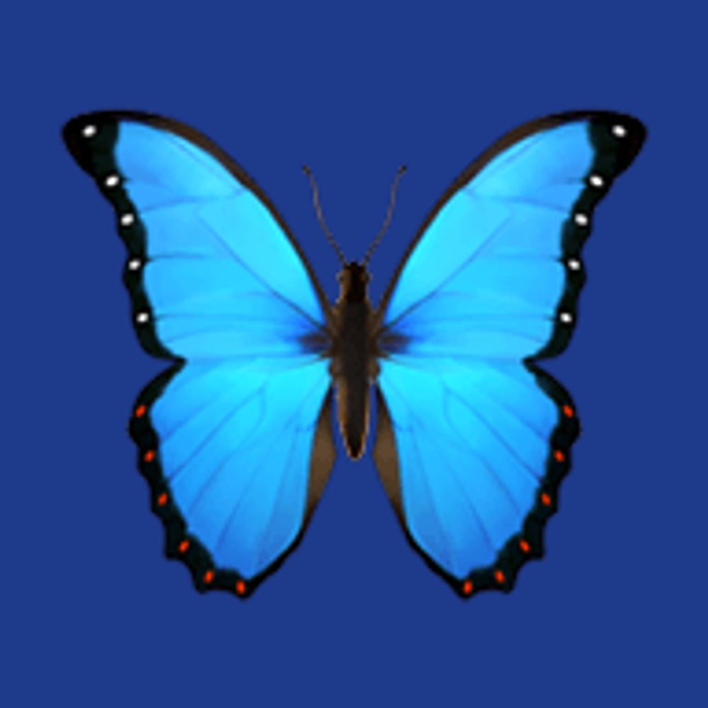 BlueskyScheduler.com