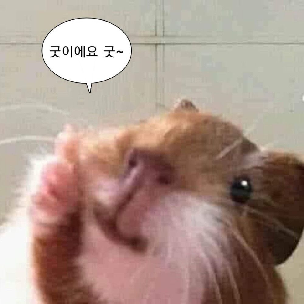 단비_1126