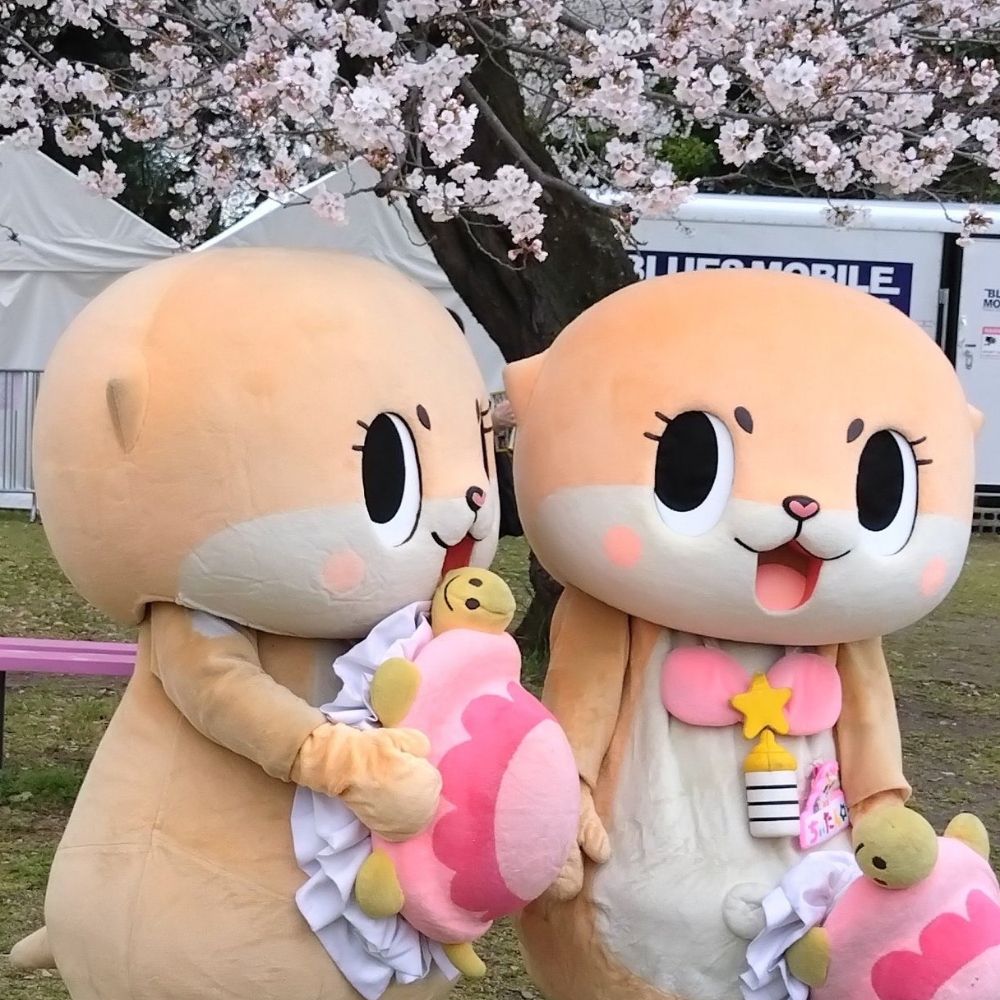 Chiitan's Hub ♥ | Archived (Unofficial Account)