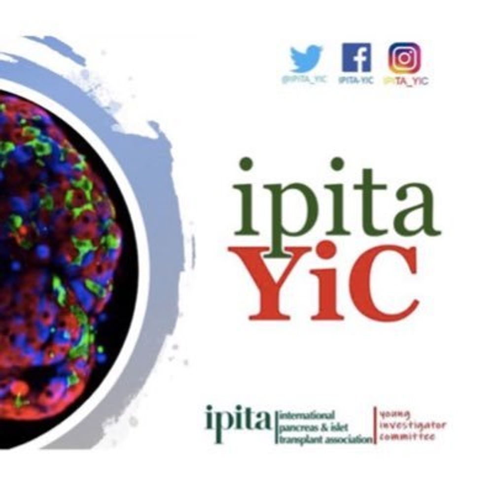 IPITA YIC