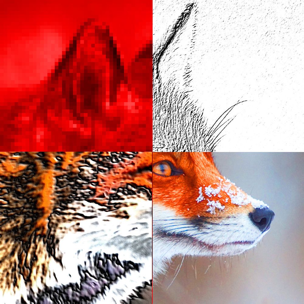 FOXFOXFOXFOX