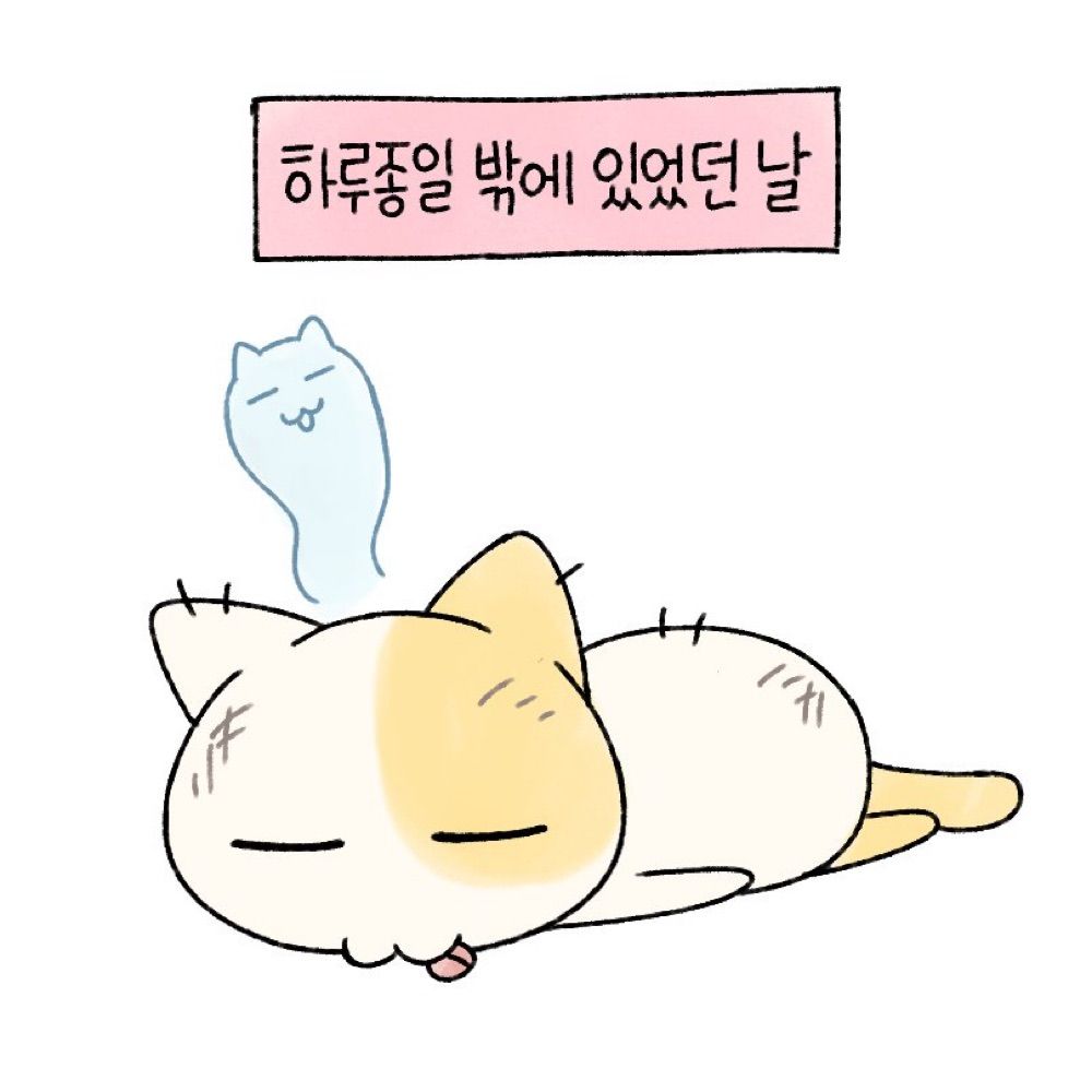 조빱뿡