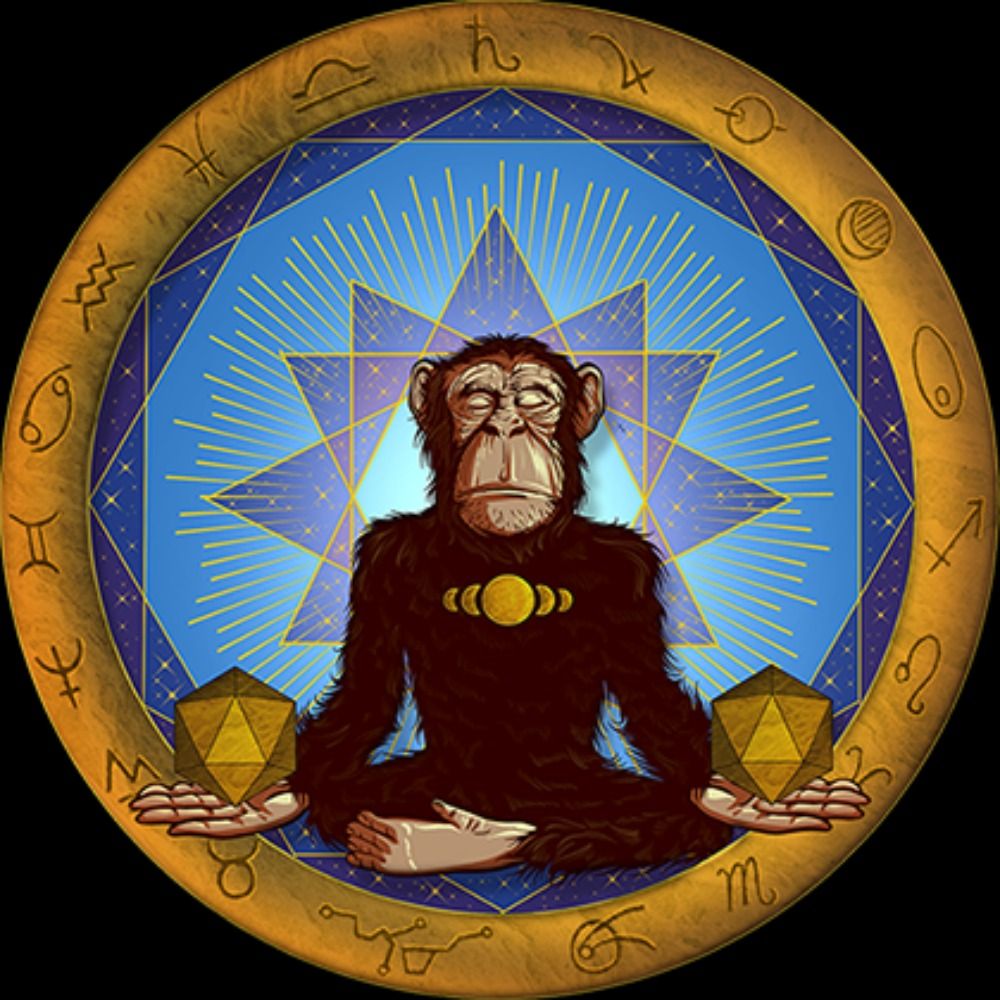 MeditatingMunky