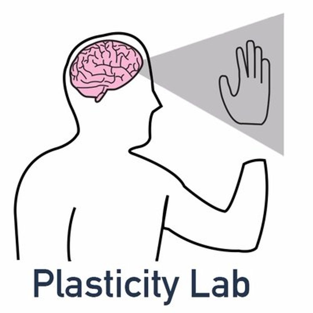 Plasticity Lab