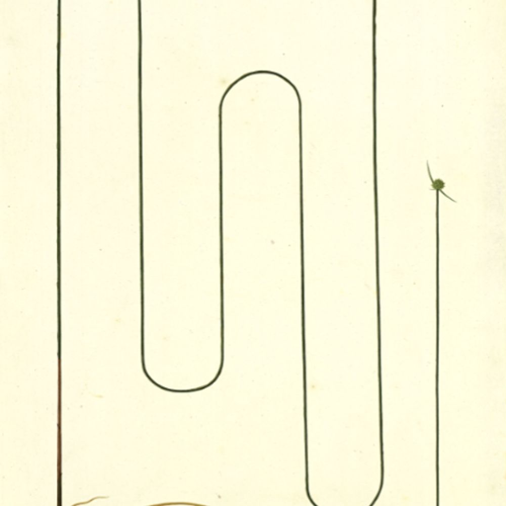 EGGuillen