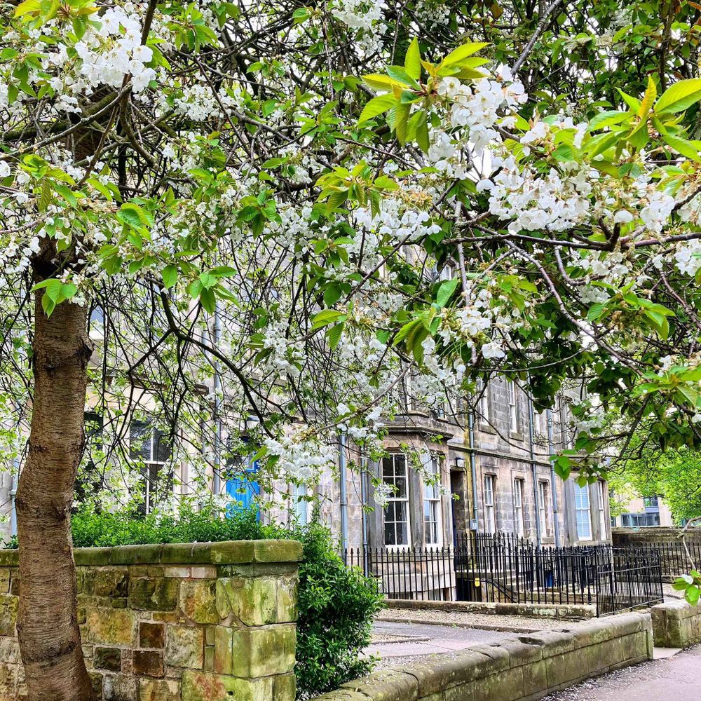 St Andrews School of History 
