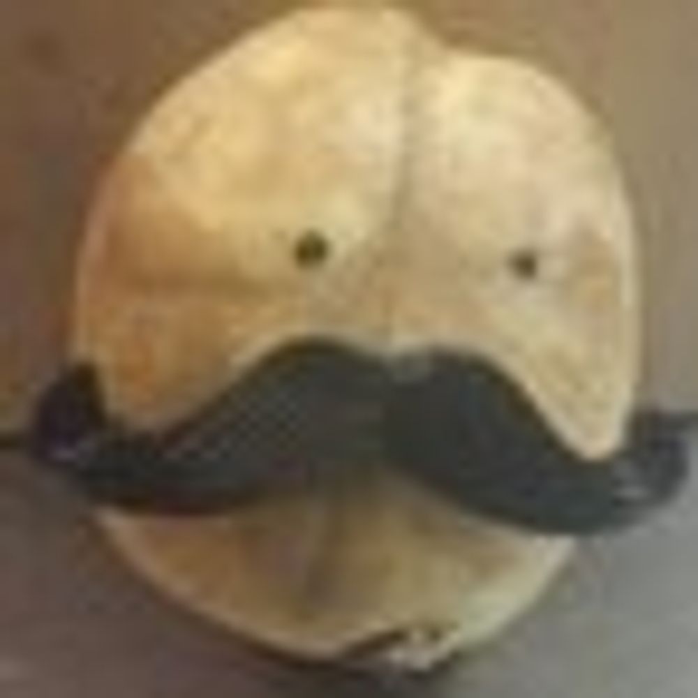 Popato!