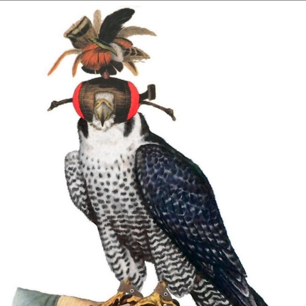 Ax The Hawk