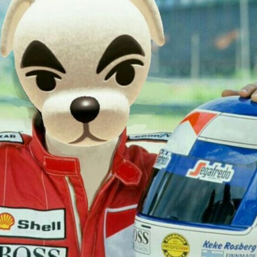 Delusional Motorsport Entusiast 