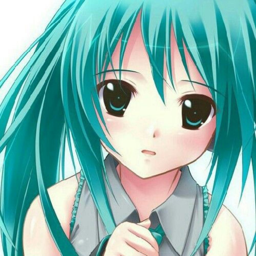 Sasa