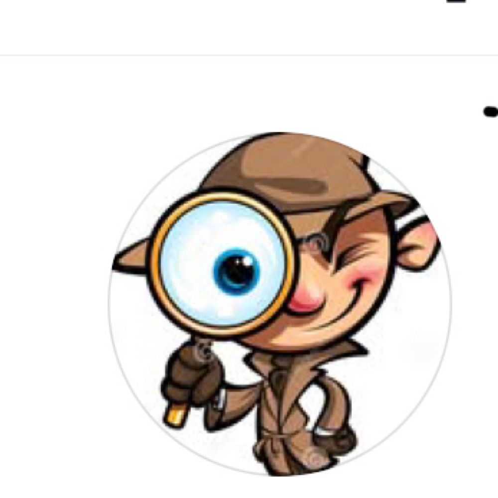 TheToeDetective
