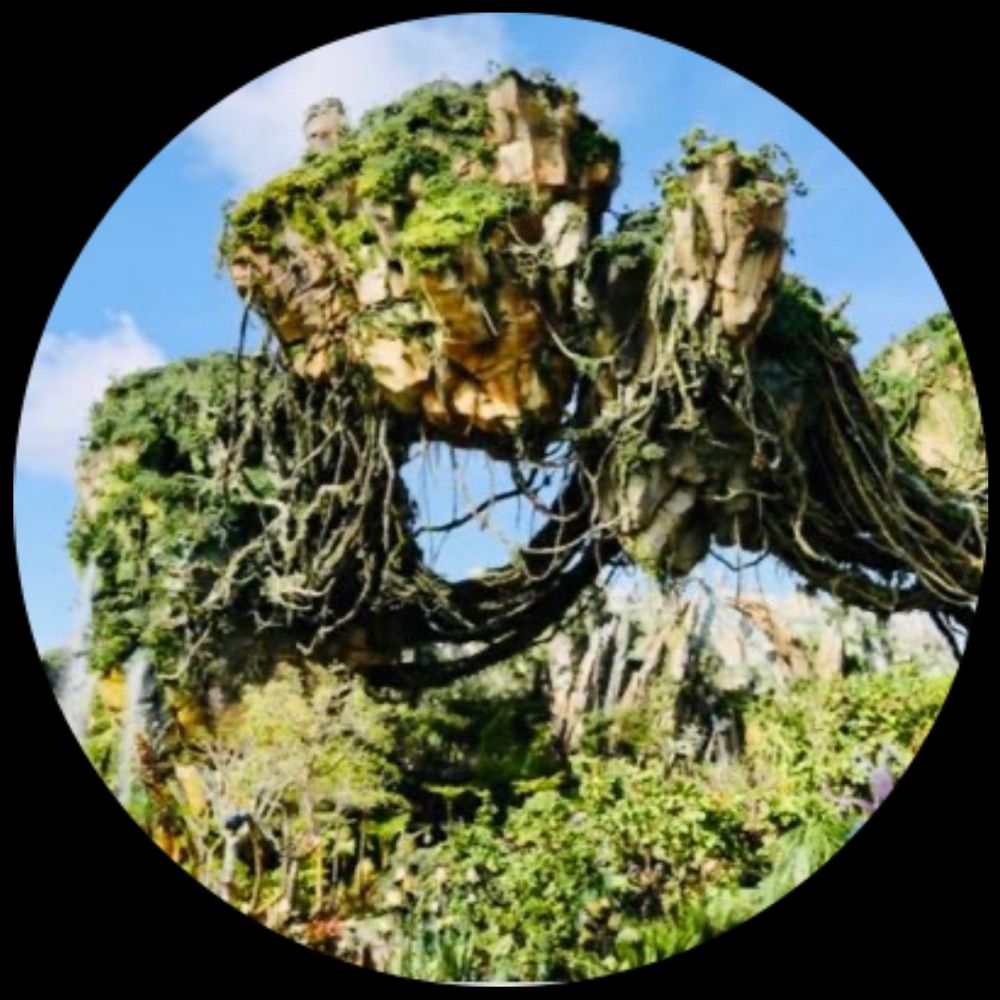 Fun Disney Fan