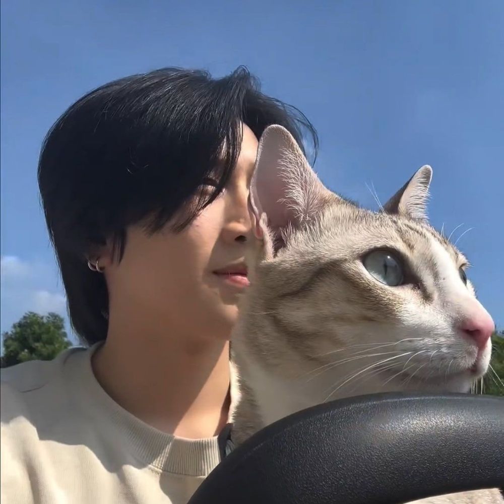 Nussue🐱🥕🥬