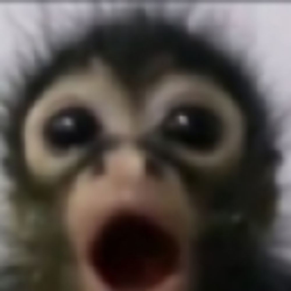Zee