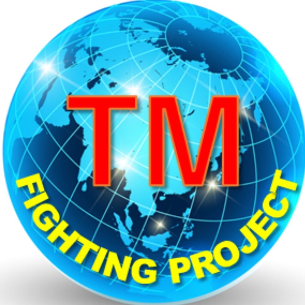 TM FIGHTING PROJECT