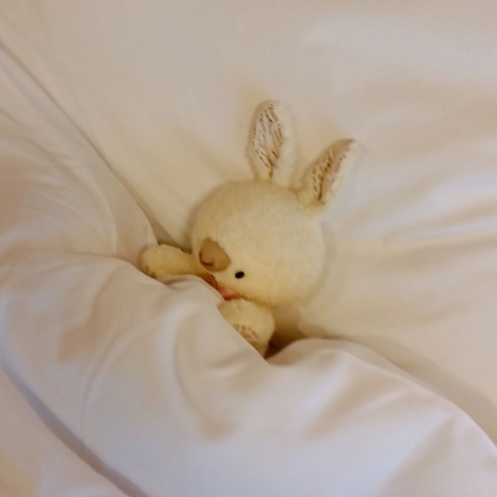 はちゃみ
